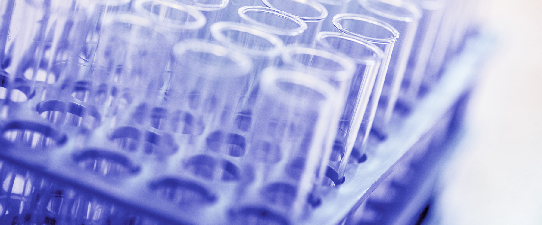 1326 cental labs header - Main Labs