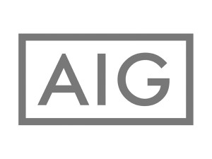 AIG Grey 300x225 - AIG_Grey