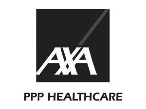 Axa Grey 300x225 - Axa_Grey