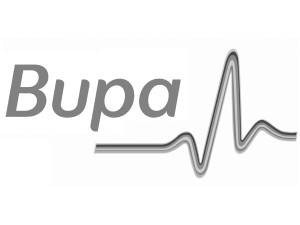 Bupa Grey 300x225 - Bupa_Grey