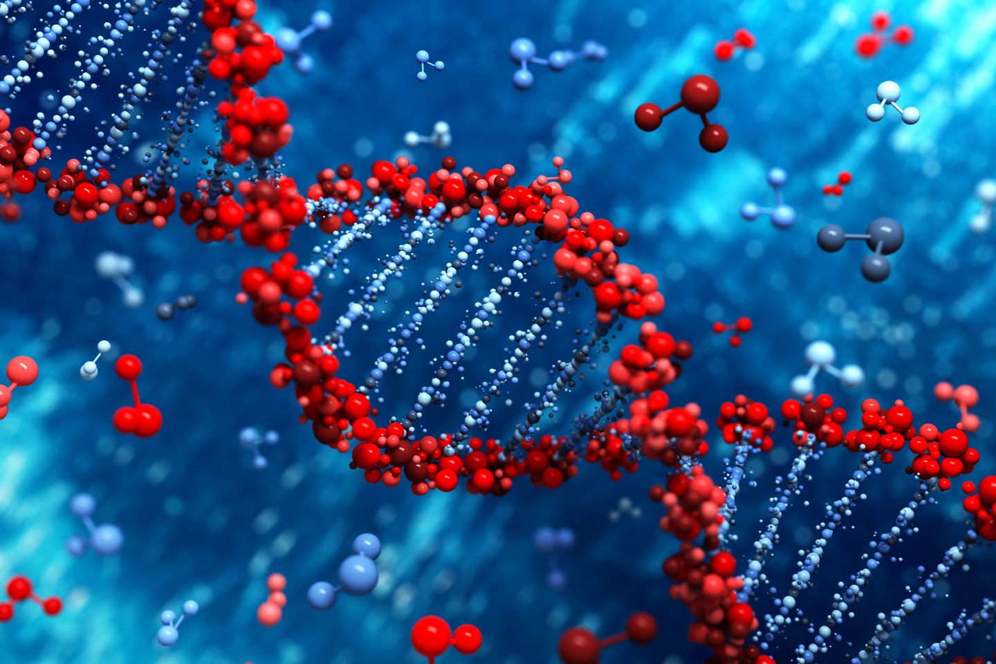 DNA - Check Up Packages
