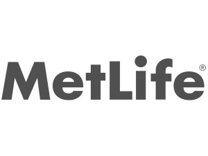 MetLife Grey 300x225 - MetLife_Grey