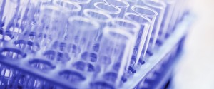1326 cental labs header 300x125 - 1326-cental labs header