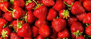 NUTRITION BANNER shutterstock 195118382 300x129 - NUTRITION BANNER shutterstock_195118382