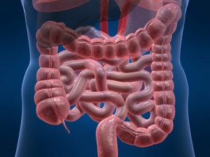 Colon Cancer 300x225 - Colon_Cancer