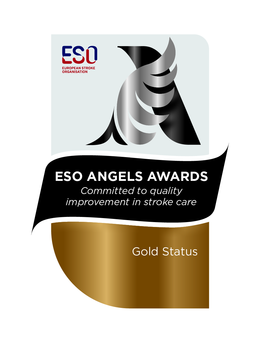 ESO Trophy Gold BLANK ENGLISH - Χρυσή Διάκριση ESO Angels για το Mediterraneo Hospital!